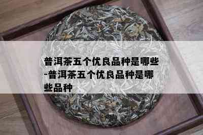 普洱茶五个优良品种是哪些-普洱茶五个优良品种是哪些品种