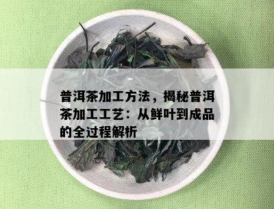 普洱茶加工方法，揭秘普洱茶加工工艺：从鲜叶到成品的全过程解析