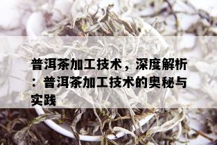 普洱茶加工技术，深度解析：普洱茶加工技术的奥秘与实践