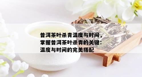 普洱茶叶杀青温度与时间，掌握普洱茶叶杀青的关键：温度与时间的完美搭配