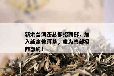 新余普洱茶总部招商部，加入新余普洱茶，成为总部招商部的！