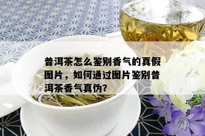 普洱茶怎么鉴别香气的真假图片，如何通过图片鉴别普洱茶香气真伪？