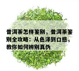 普洱茶怎样鉴别，普洱茶鉴别全攻略：从色泽到口感，教你如何辨别真伪