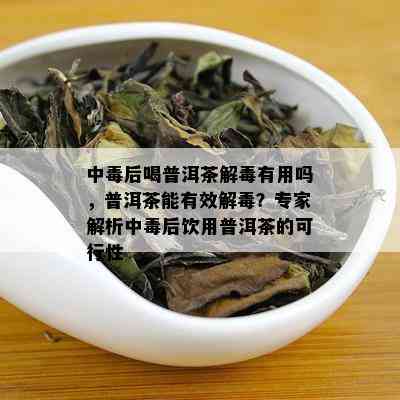 中后喝普洱茶解有用吗，普洱茶能有效解？专家解析中后饮用普洱茶的可行性