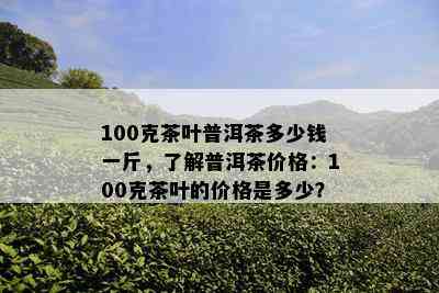 100克茶叶普洱茶多少钱一斤，了解普洱茶价格：100克茶叶的价格是多少？