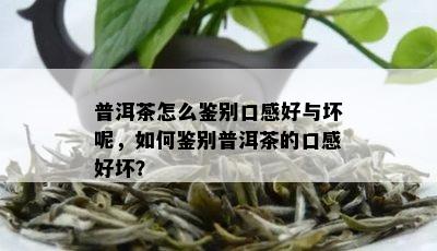 普洱茶怎么鉴别口感好与坏呢，如何鉴别普洱茶的口感好坏？