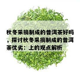 秋冬采摘制成的普洱茶好吗，探讨秋冬采摘制成的普洱茶优劣：上的观点解析