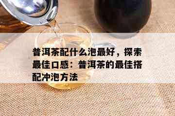 普洱茶配什么泡更好，探索更佳口感：普洱茶的更佳搭配冲泡方法