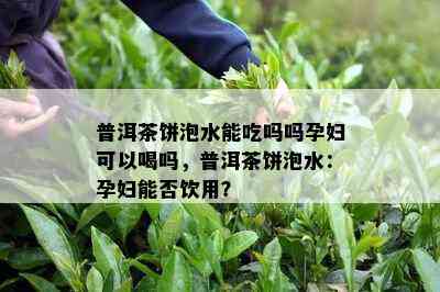 普洱茶饼泡水能吃吗吗孕妇可以喝吗，普洱茶饼泡水：孕妇能否饮用？