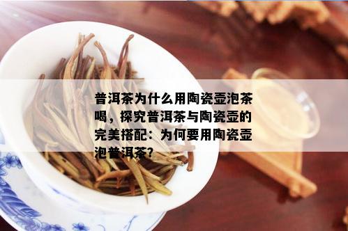 普洱茶为什么用陶瓷壶泡茶喝，探究普洱茶与陶瓷壶的完美搭配：为何要用陶瓷壶泡普洱茶？