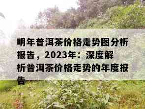 明年普洱茶价格走势图分析报告，2023年：深度解析普洱茶价格走势的年度报告