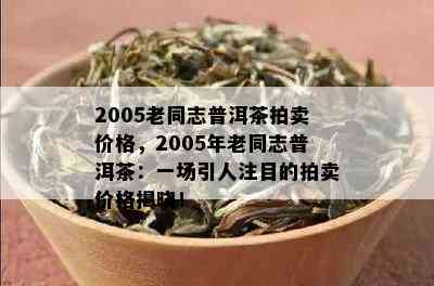 2005老同志普洱茶拍卖价格，2005年老同志普洱茶：一场引人注目的拍卖价格揭晓！