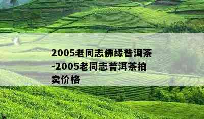 2005老同志佛缘普洱茶-2005老同志普洱茶拍卖价格