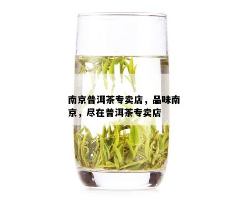 南京普洱茶专卖店，品味南京，尽在普洱茶专卖店