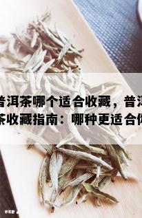 普洱茶哪个适合收藏，普洱茶收藏指南：哪种更适合你？