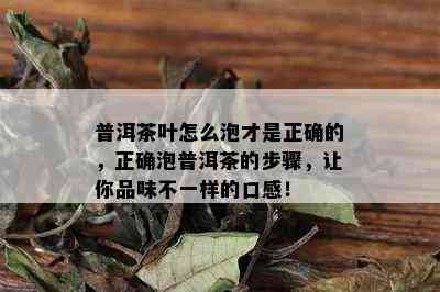 普洱茶叶怎么泡才是正确的，正确泡普洱茶的步骤，让你品味不一样的口感！