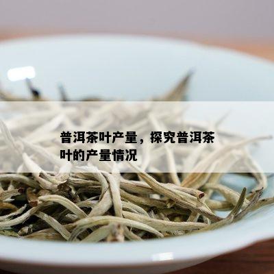 普洱茶叶产量，探究普洱茶叶的产量情况