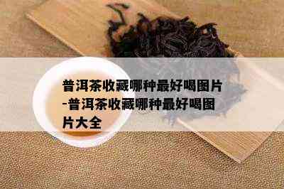 普洱茶收藏哪种更好喝图片-普洱茶收藏哪种更好喝图片大全