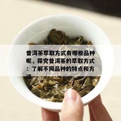 普洱茶萃取方式有哪些品种呢，探究普洱茶的萃取方式：了解不同品种的特点和方法