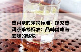 普洱茶的采摘标准，探究普洱茶采摘标准：品味健康与美味的秘诀