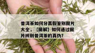 普洱茶如何分真假鉴别图片大全，【图解】如何通过图片辨别普洱茶的真伪？