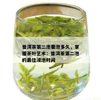 普洱茶第二泡要泡多久，掌握茶叶艺术：普洱茶第二泡的更佳浸泡时间