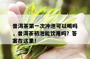 普洱茶之一次冲泡可以喝吗，普洱茶初泡能饮用吗？答案在这里！