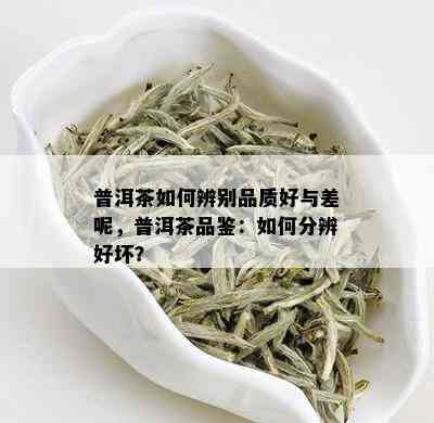 普洱茶如何辨别品质好与差呢，普洱茶品鉴：如何分辨好坏？