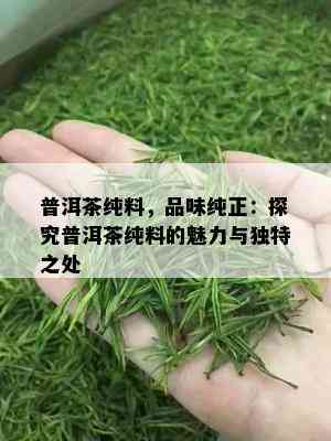 普洱茶纯料，品味纯正：探究普洱茶纯料的魅力与独特之处