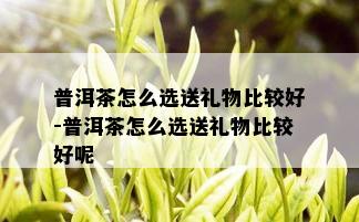 普洱茶怎么选送礼物比较好-普洱茶怎么选送礼物比较好呢