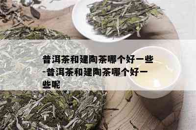 普洱茶和建陶茶哪个好一些-普洱茶和建陶茶哪个好一些呢