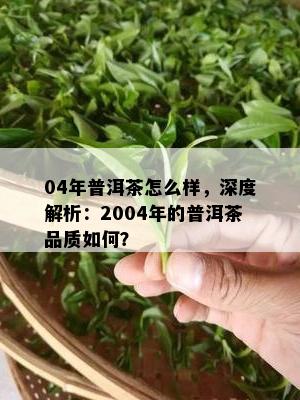 04年普洱茶怎么样，深度解析：2004年的普洱茶品质如何？