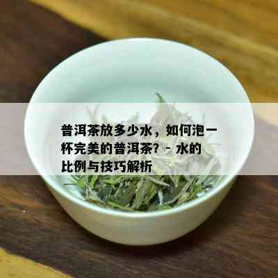 普洱茶放多少水，如何泡一杯完美的普洱茶？- 水的比例与技巧解析