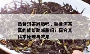 熟普洱茶减脂吗，熟普洱茶真的能帮助减脂吗？探究其科学原理与效果