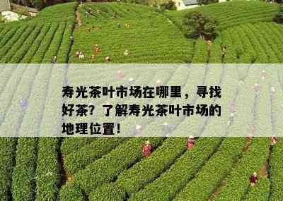 寿光茶叶市场在哪里，寻找好茶？了解寿光茶叶市场的地理位置！