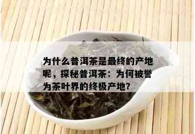 为什么普洱茶是最终的产地呢，探秘普洱茶：为何被誉为茶叶界的终极产地？