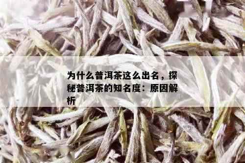 为什么普洱茶这么出名，探秘普洱茶的知名度：原因解析