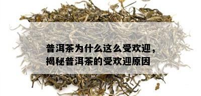 普洱茶为什么这么受欢迎，揭秘普洱茶的受欢迎原因