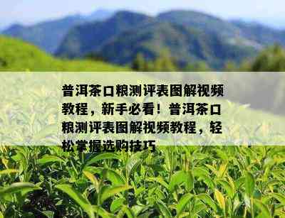 普洱茶口粮测评表图解视频教程，新手必看！普洱茶口粮测评表图解视频教程，轻松掌握选购技巧