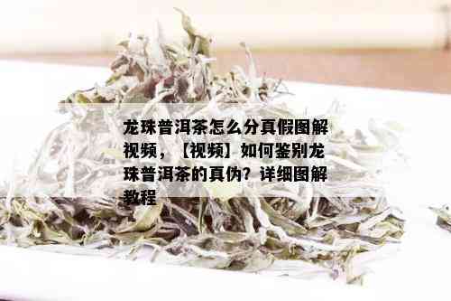 龙珠普洱茶怎么分真假图解视频，【视频】如何鉴别龙珠普洱茶的真伪？详细图解教程