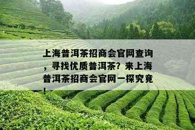 上海普洱茶招商会官网查询，寻找优质普洱茶？来上海普洱茶招商会官网一探究竟！