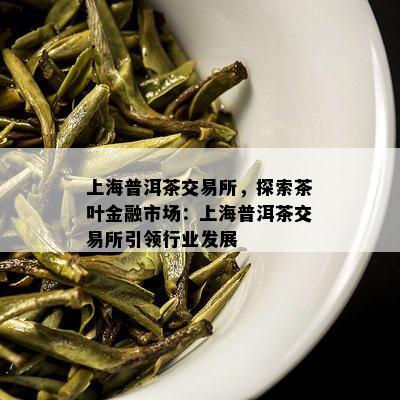 上海普洱茶交易所，探索茶叶金融市场：上海普洱茶交易所引领行业发展