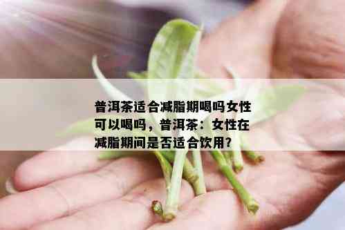 普洱茶适合减脂期喝吗女性可以喝吗，普洱茶：女性在减脂期间是否适合饮用？