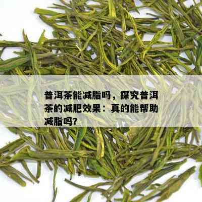 普洱茶能减脂吗，探究普洱茶的减肥效果：真的能帮助减脂吗？