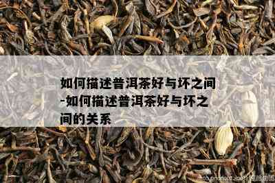 如何描述普洱茶好与坏之间-如何描述普洱茶好与坏之间的关系