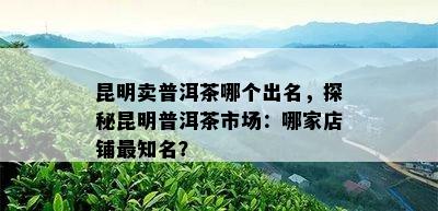 昆明卖普洱茶哪个出名，探秘昆明普洱茶市场：哪家店铺最知名？