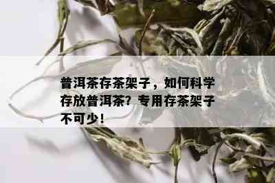 普洱茶存茶架子，如何科学存放普洱茶？专用存茶架子不可少！