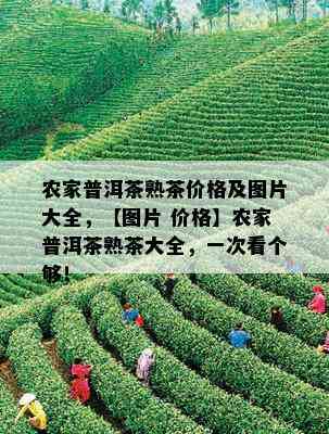 农家普洱茶熟茶价格及图片大全，【图片 价格】农家普洱茶熟茶大全，一次看个够！