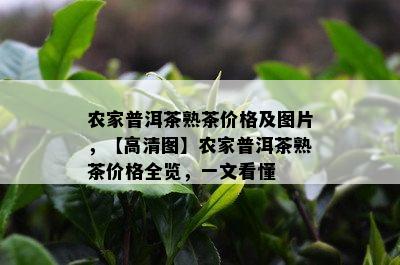 农家普洱茶熟茶价格及图片，【高清图】农家普洱茶熟茶价格全览，一文看懂