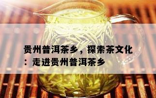 贵州普洱茶乡，探索茶文化：走进贵州普洱茶乡